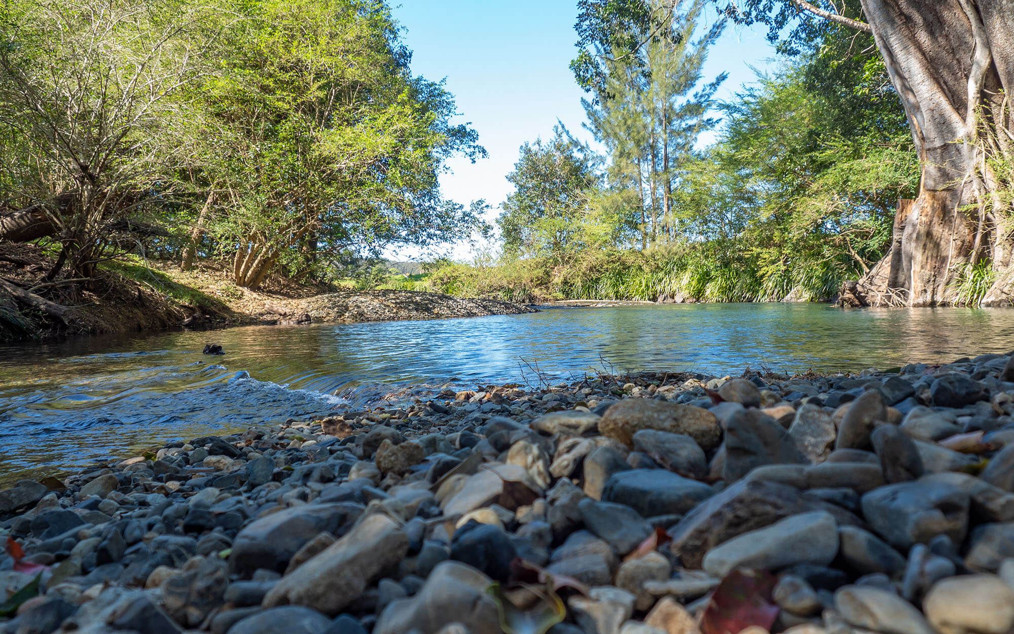 River from ground level showing river stones 