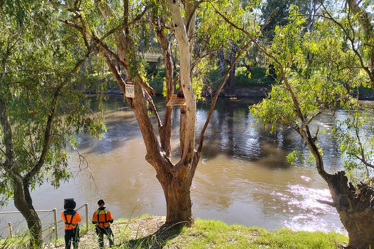 Two men in high vis watching the river with gum trees. 
