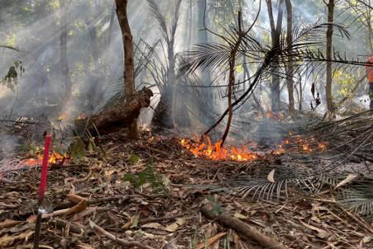 Enviro data map bush fire image 